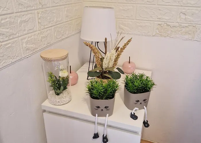 King ホームステイ *